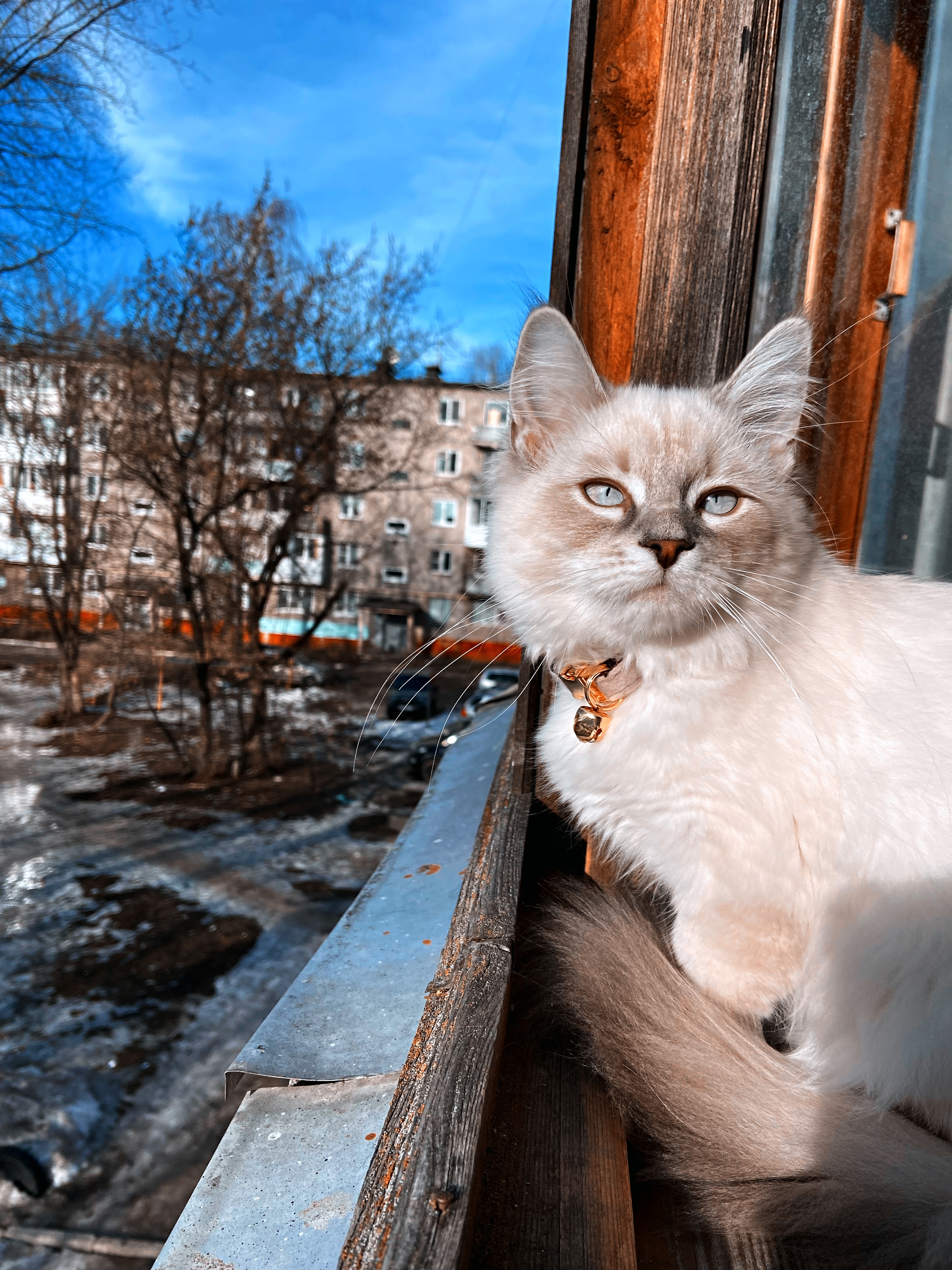 Ловит весеннее солнце