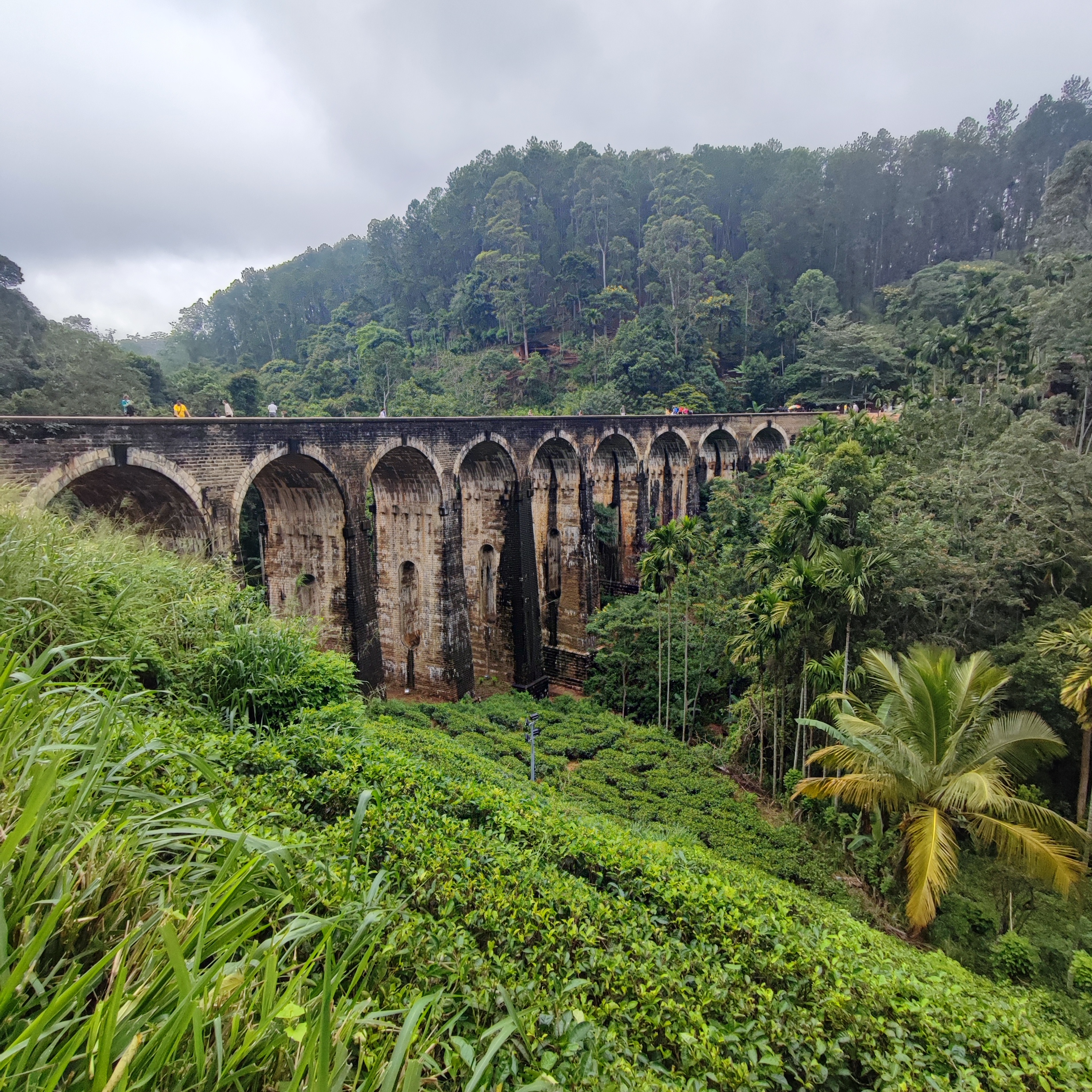 Фотография года