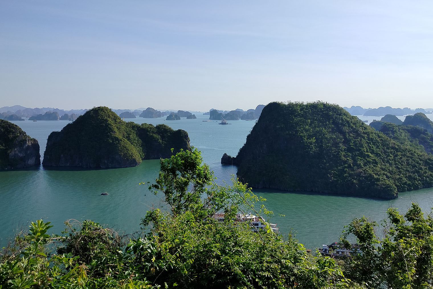 Бухта Халонг — комплекс карстовых гор и скал из известняка, которые выступают из воды. Большинство из них образует гроты и пещеры. Площадь бухты — 1 553 км². На всей территории комплекса встречаются пляжи, мангровые леса и даже пресноводные озера