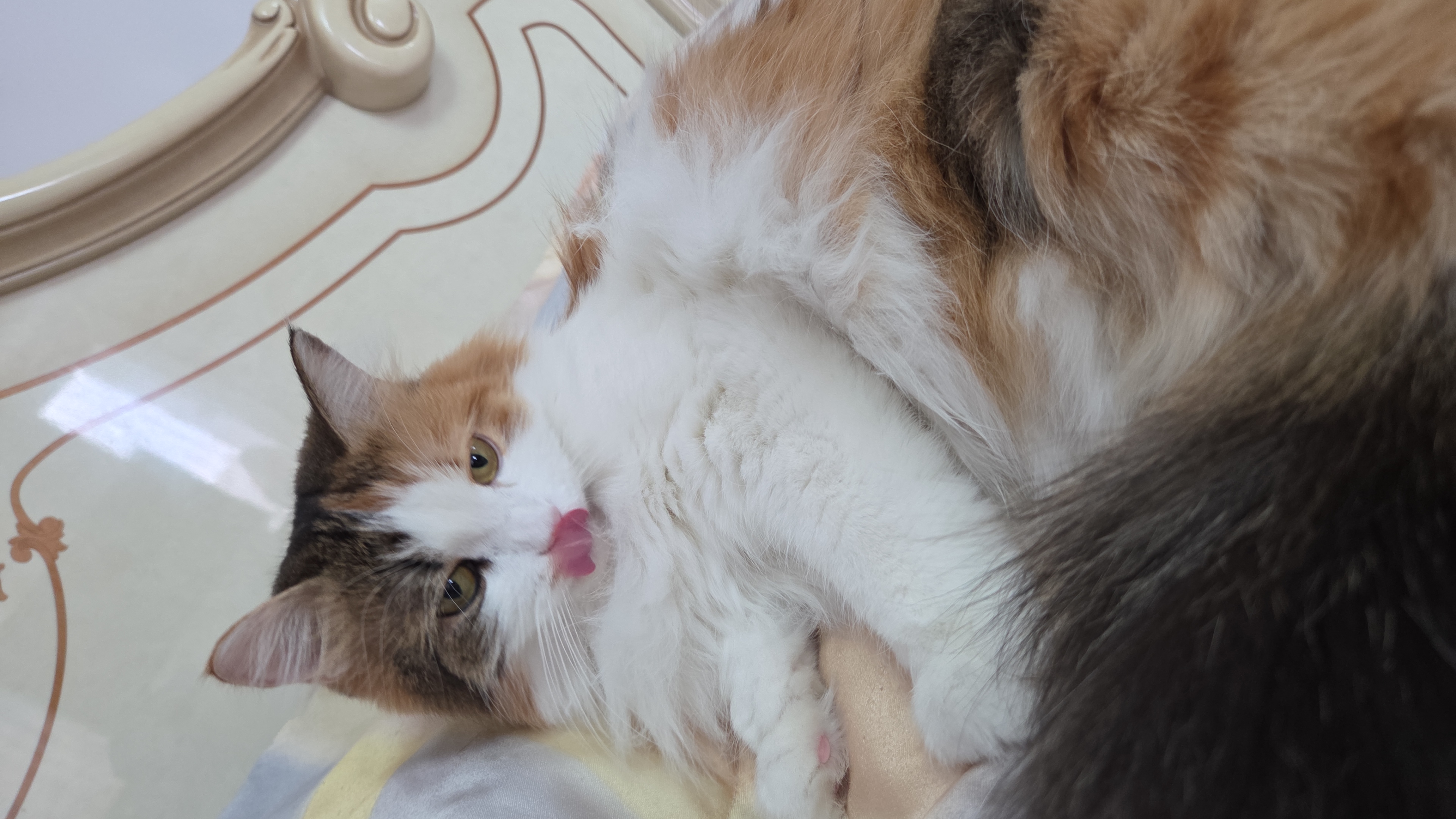 Вот мы и наелись!