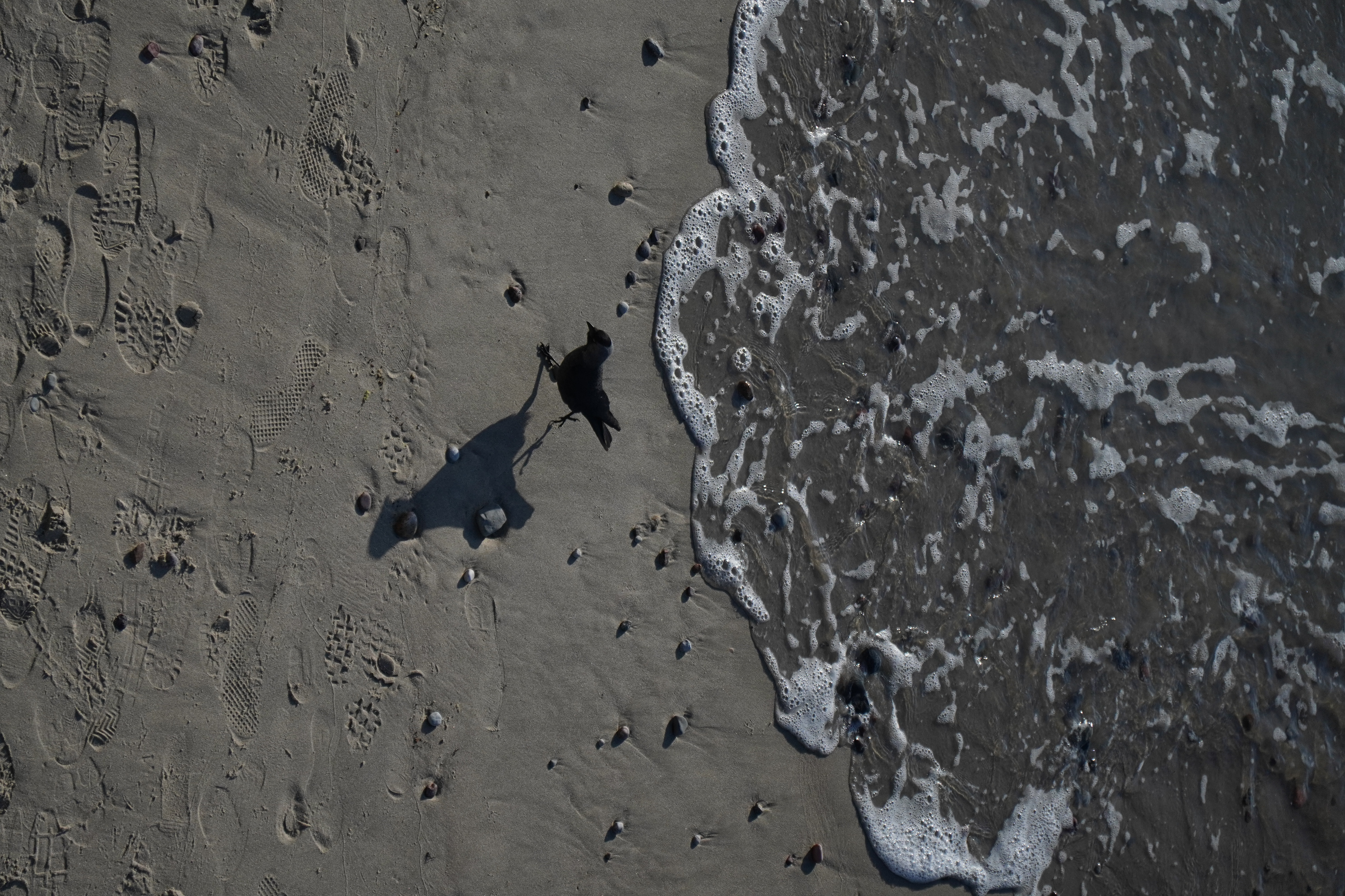 Фотография года