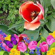 Татьяна Ивановна 