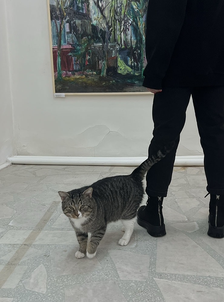На мой взгляд, главный экспонат музея — большой кот. Он свободно ходит по залам и трется о ноги посетителей