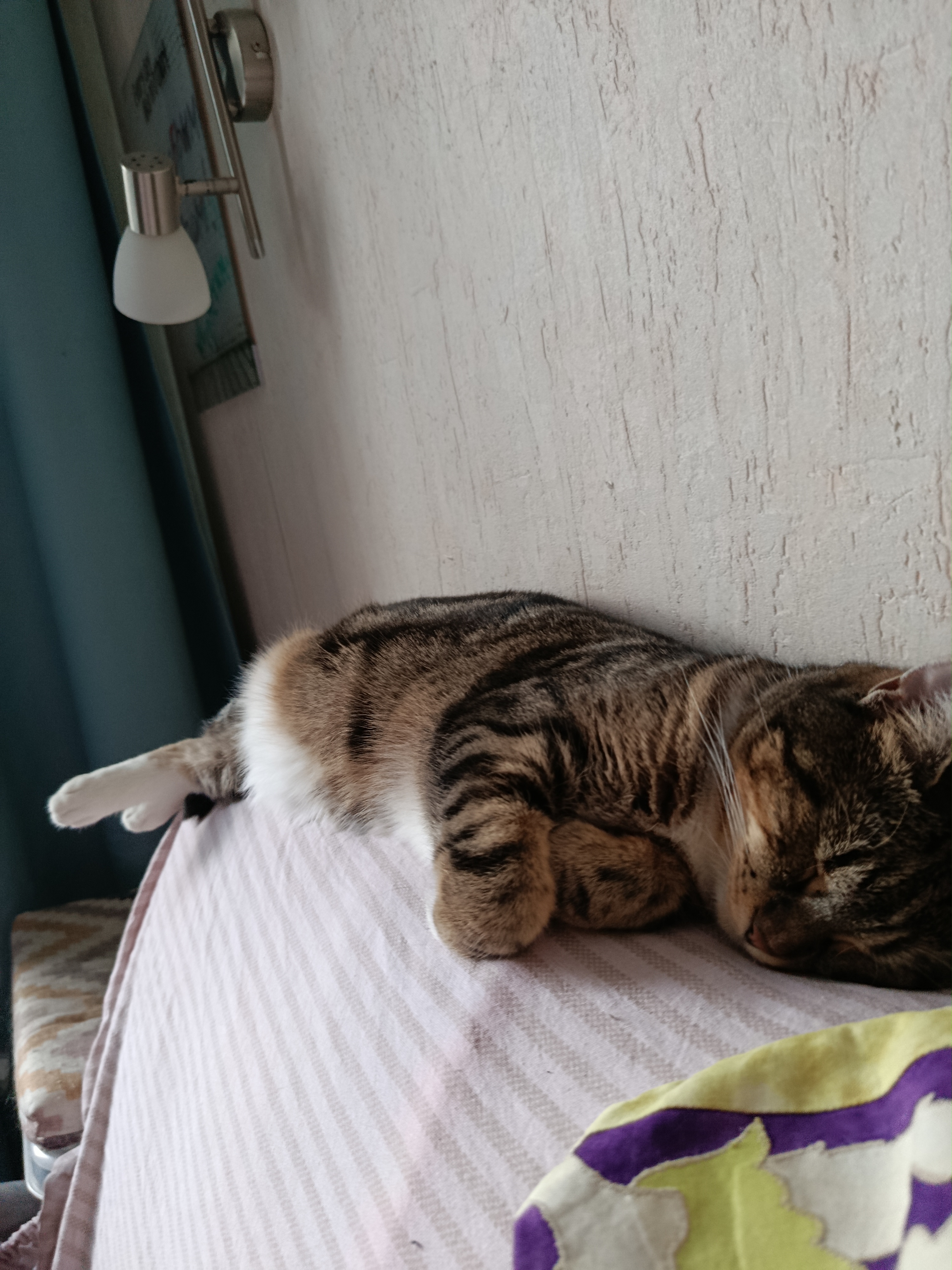 А так Шери отдыхает со мной в воскресенье