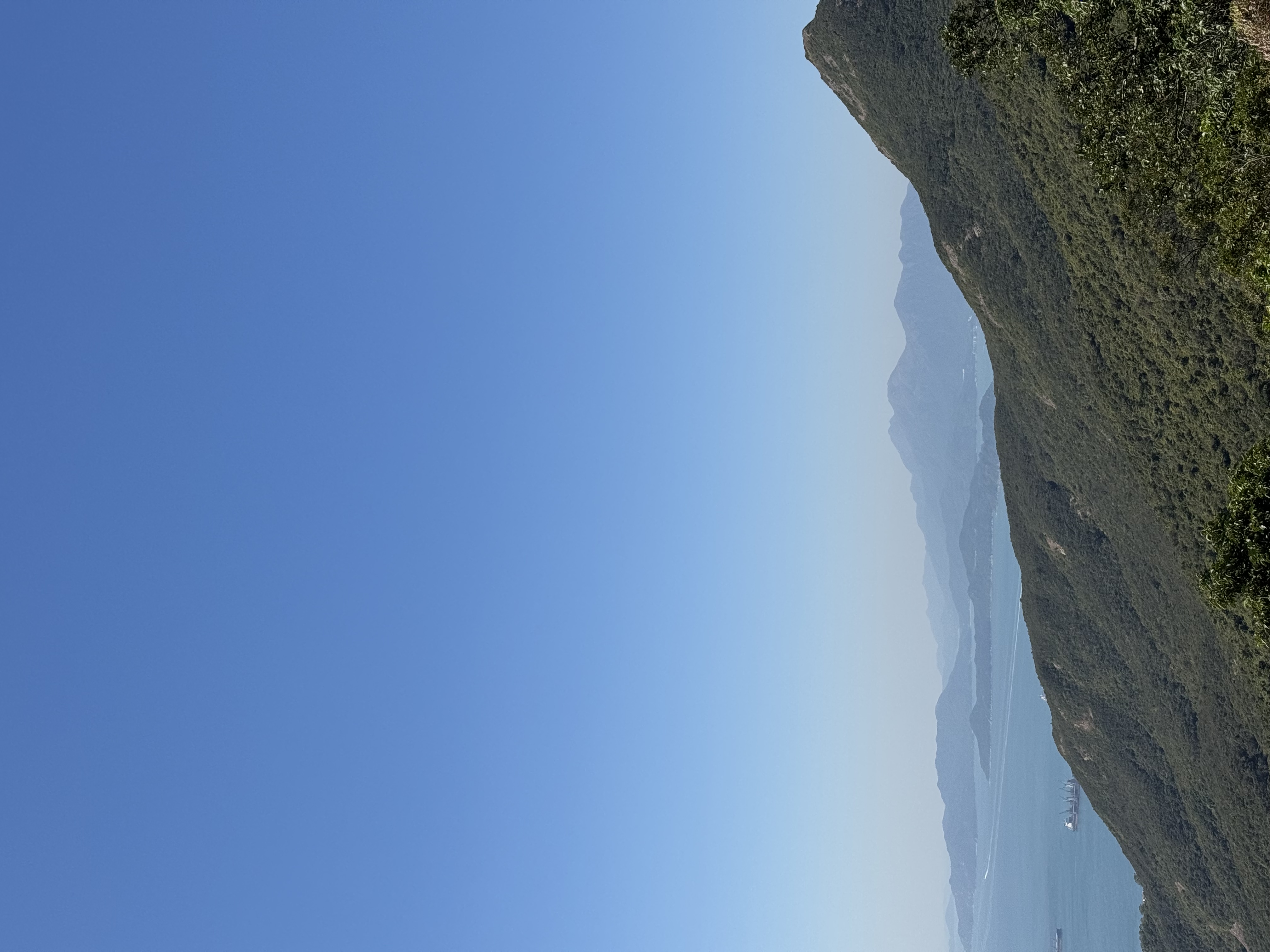 Фотография года