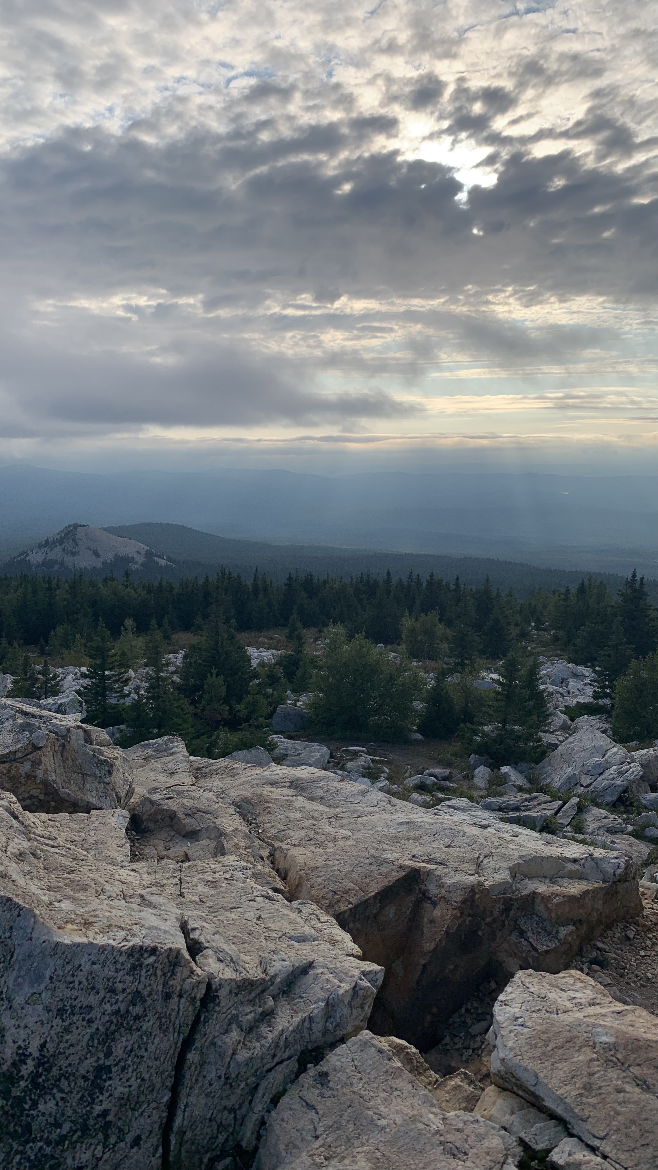 Фотография года