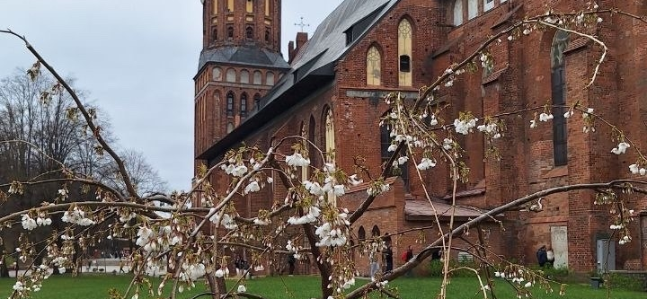 Как мы объехали 9 городов Калининградской области за 7 дней