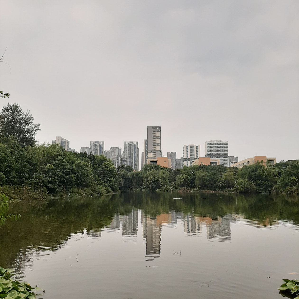 Район небоскребов соседствует с зеленым парком и прудом
