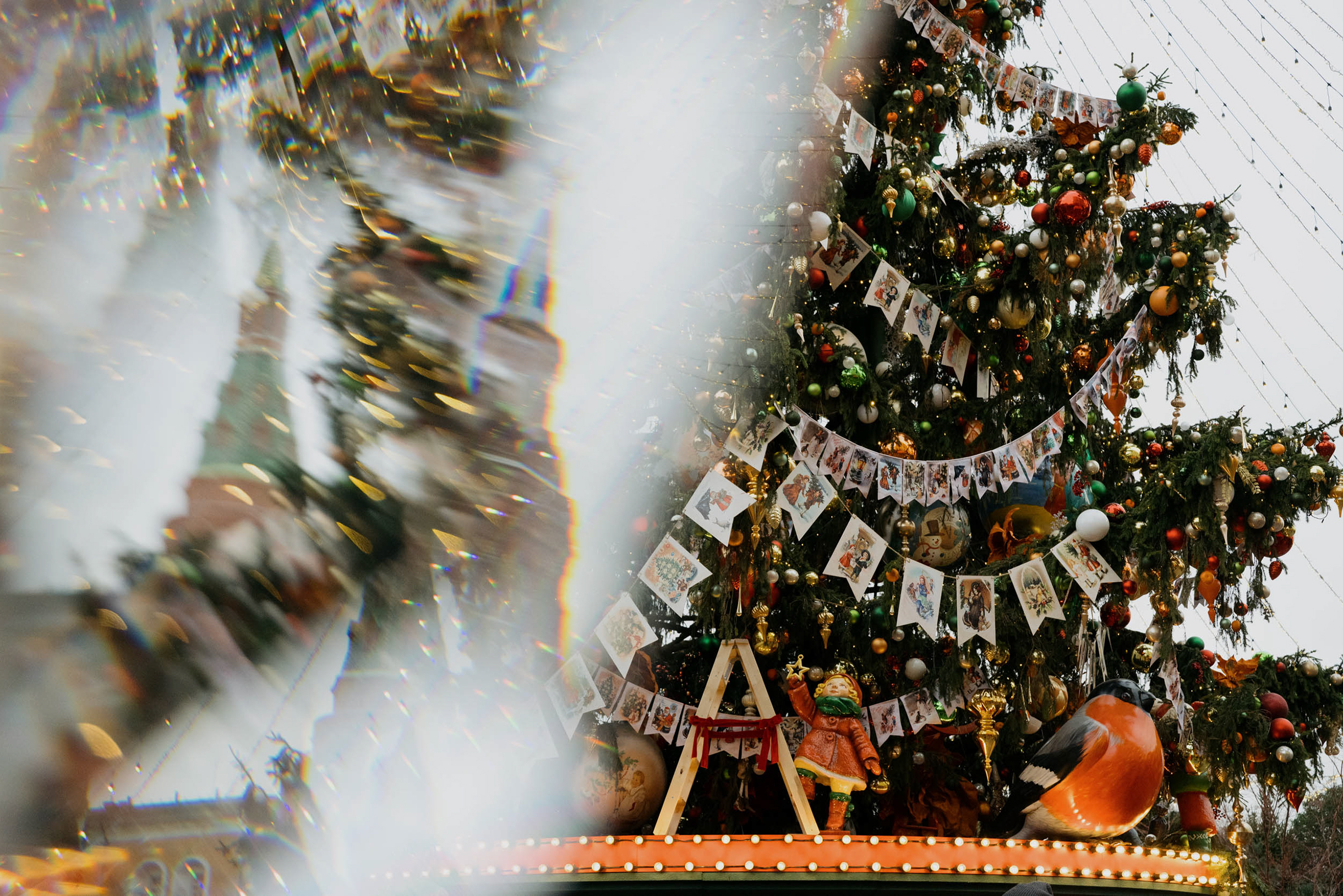 Та самая кремлевская елка стоит напротив памятника маршалу Жукову