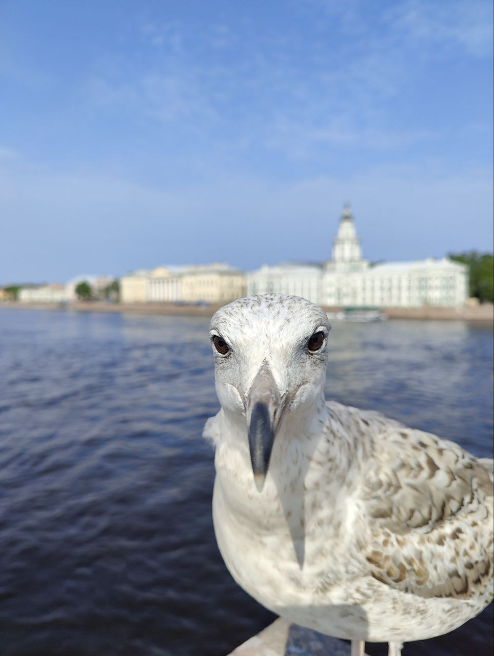 Фотография года
