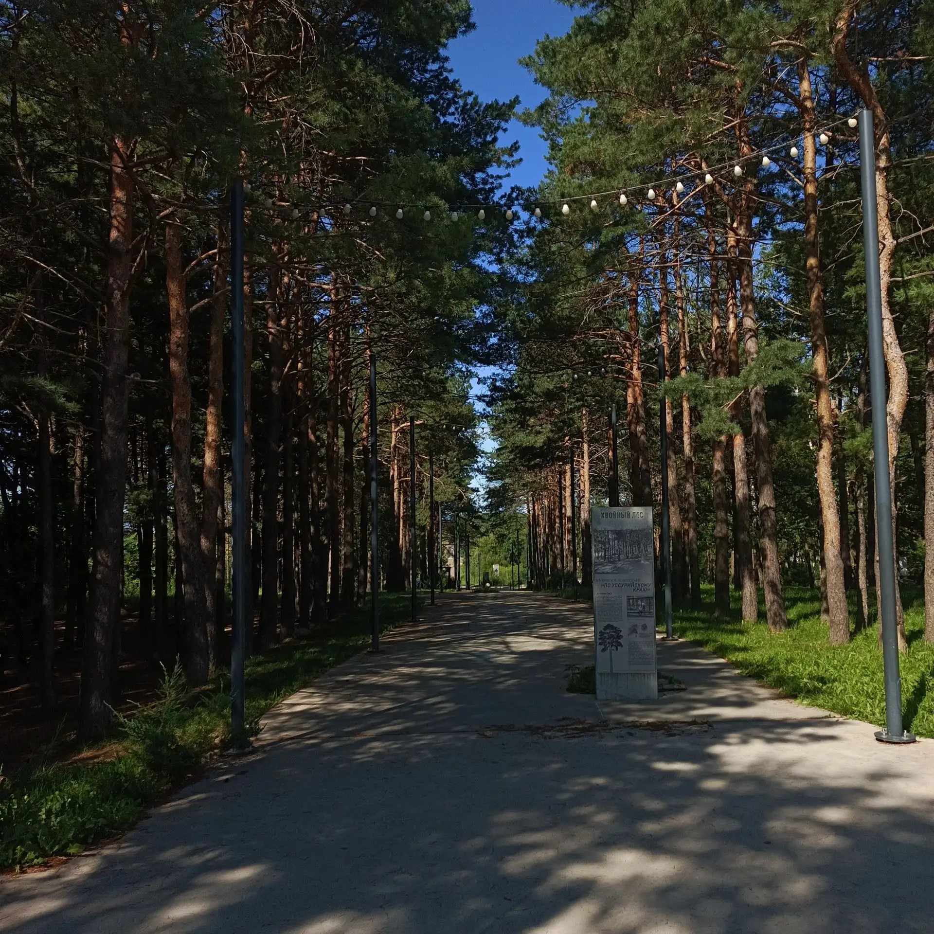 прогулочная зона