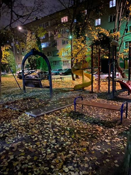 Елена Редкачева 