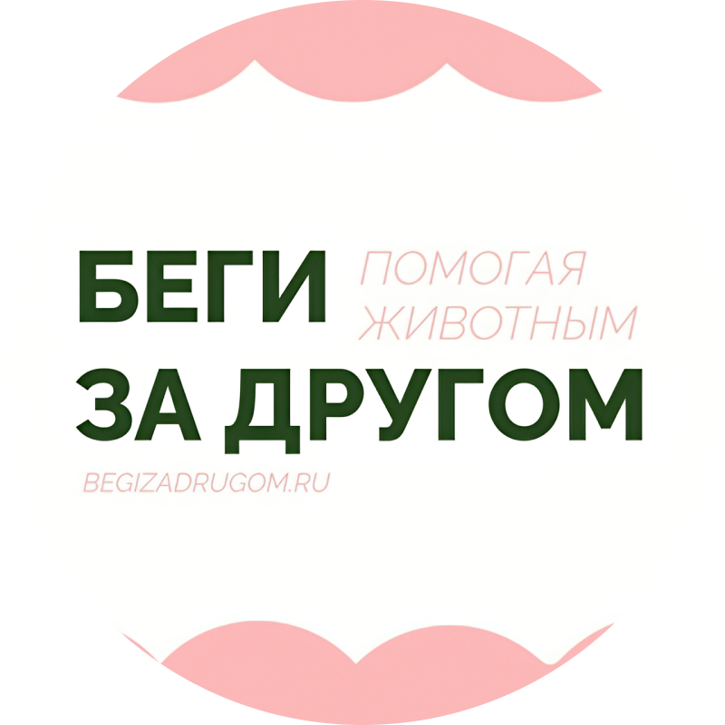 Беги за другом