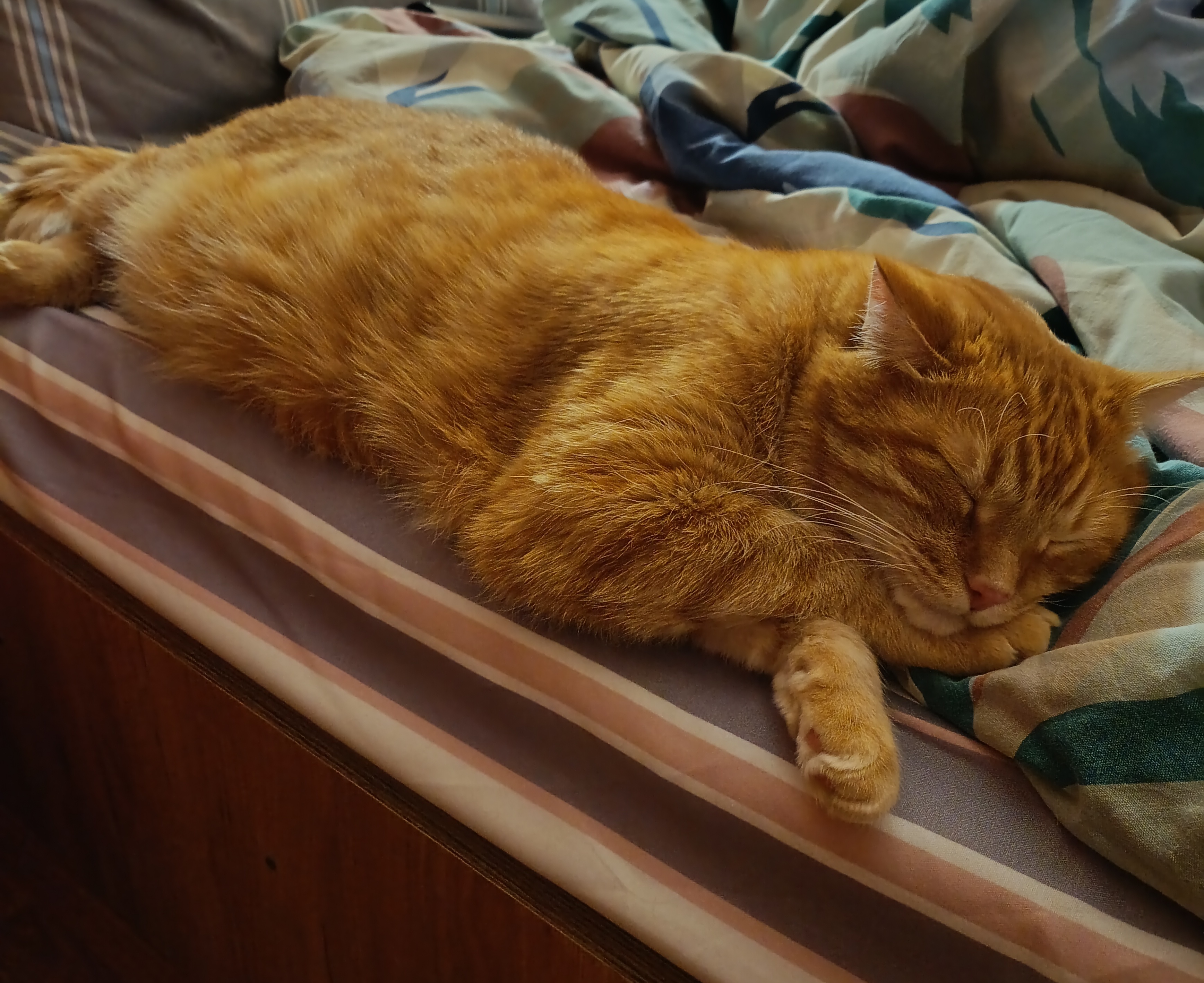 Как я устал после работы