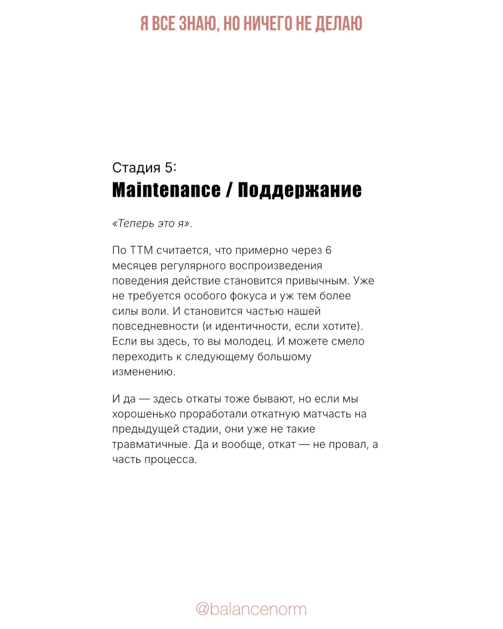 Описание стадий и того, что на них происходит