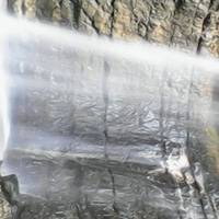 Ольга Головчанская 