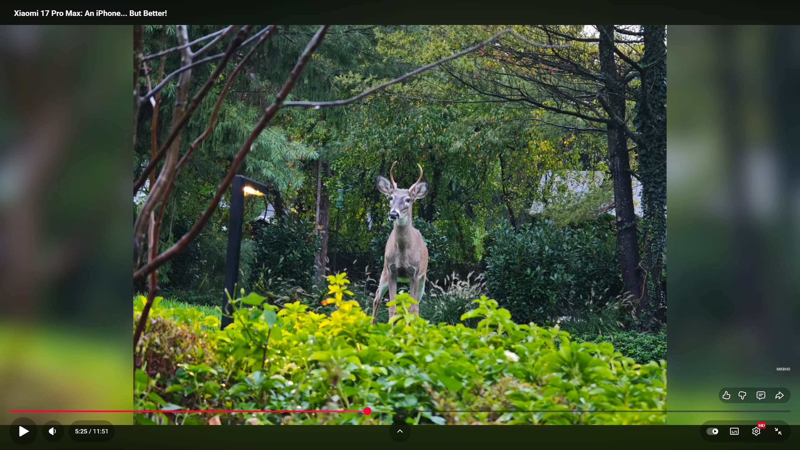 И в полноэкранном режиме