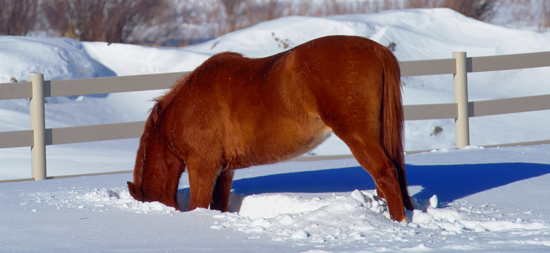 Какой доход с вкла­дов обложат налогом по ито­гам 2025 года