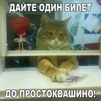Аватар автора