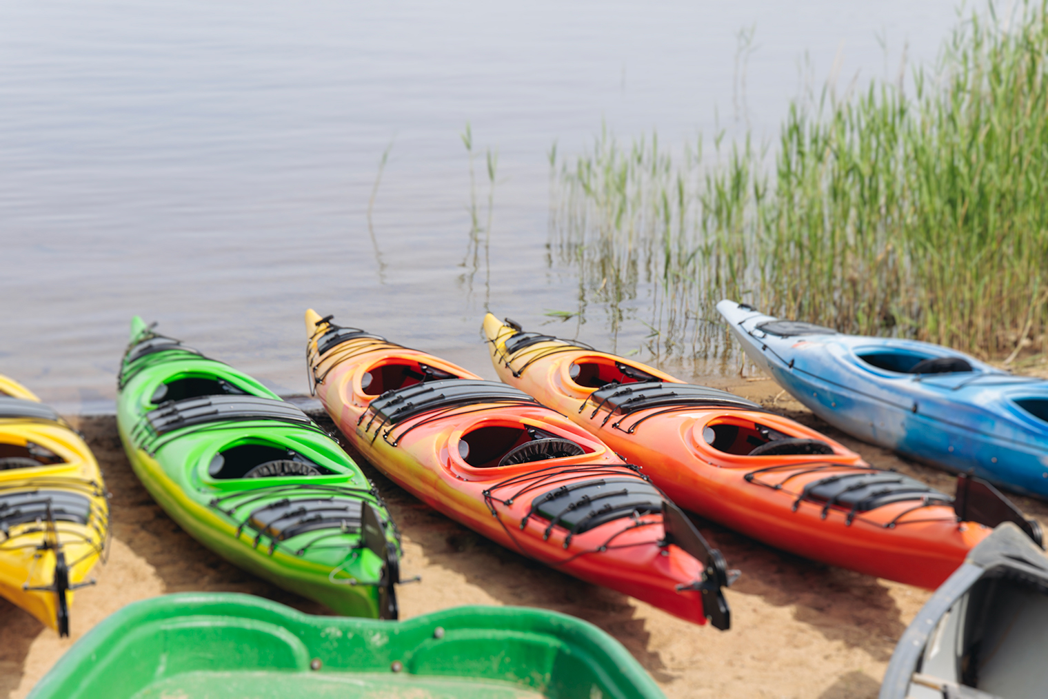 © Tsuguliev / Shutterstock / FOTODOM