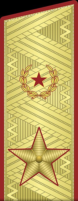 Погон генерала армии. Это пример, почему звание нельзя определять только по количеству звезд: у генерала армии используется одна большая звезда и дополнительная эмблема, а у генерал-майора, генерал-лейтенанта и генерал-полковника — одна, две и три звезды меньшего размера. © wikimedia.org