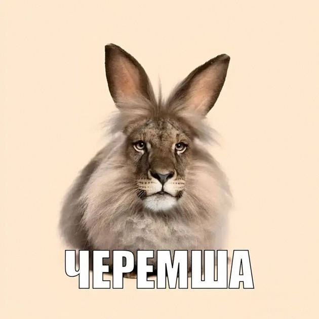 Вот она — Черемша
