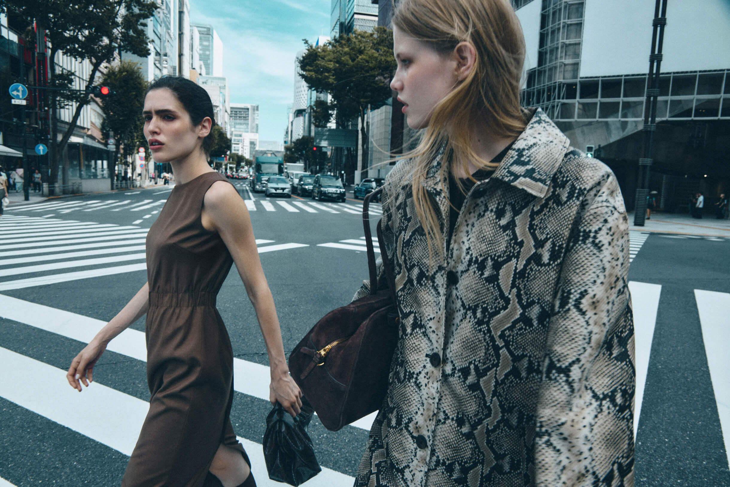 Фотография: Lime