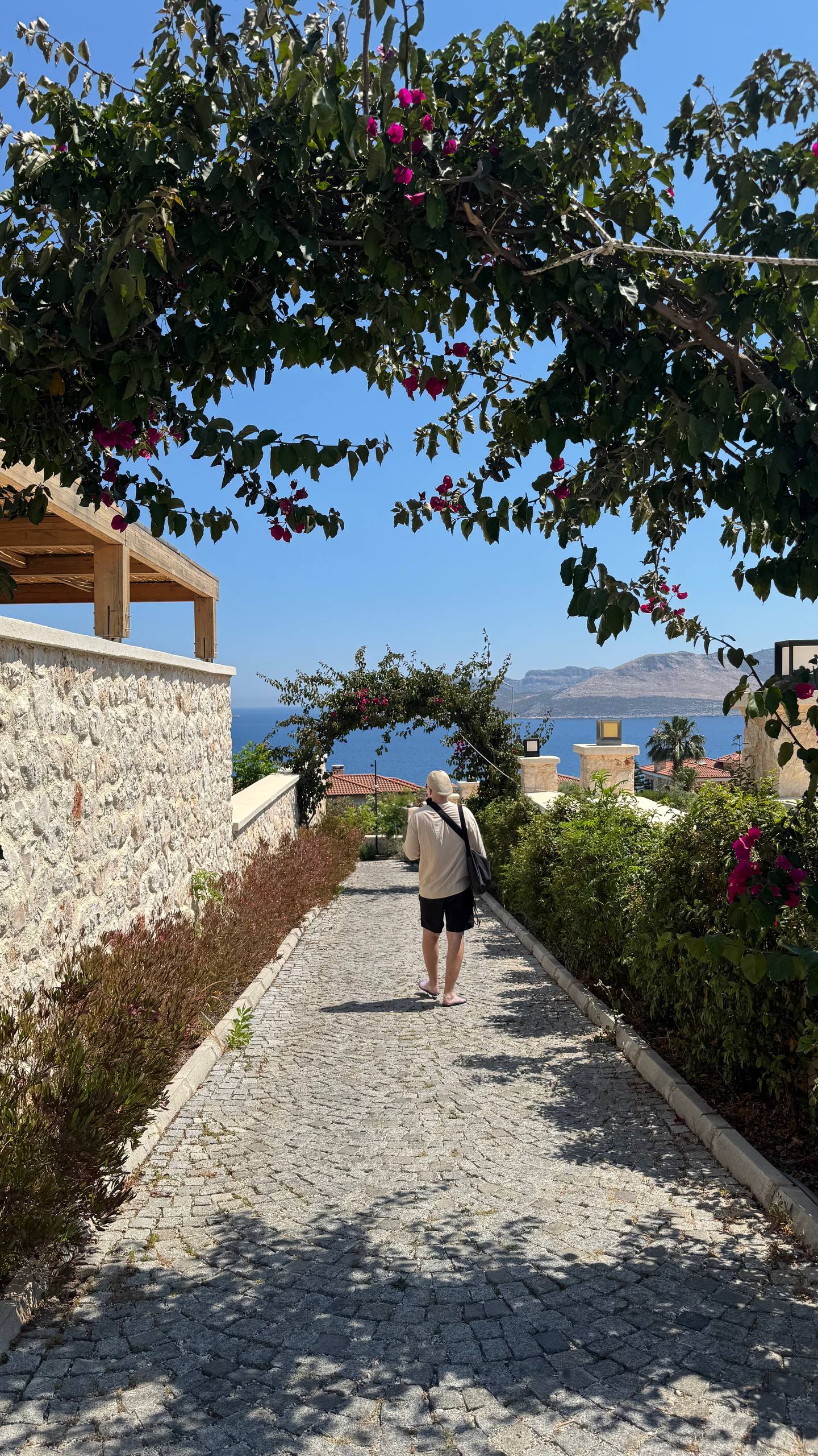 Вокруг практически никого. Только сосны, море, стрекот цикад и ощущение, что весь полуостров принадлежит исключительно тебе