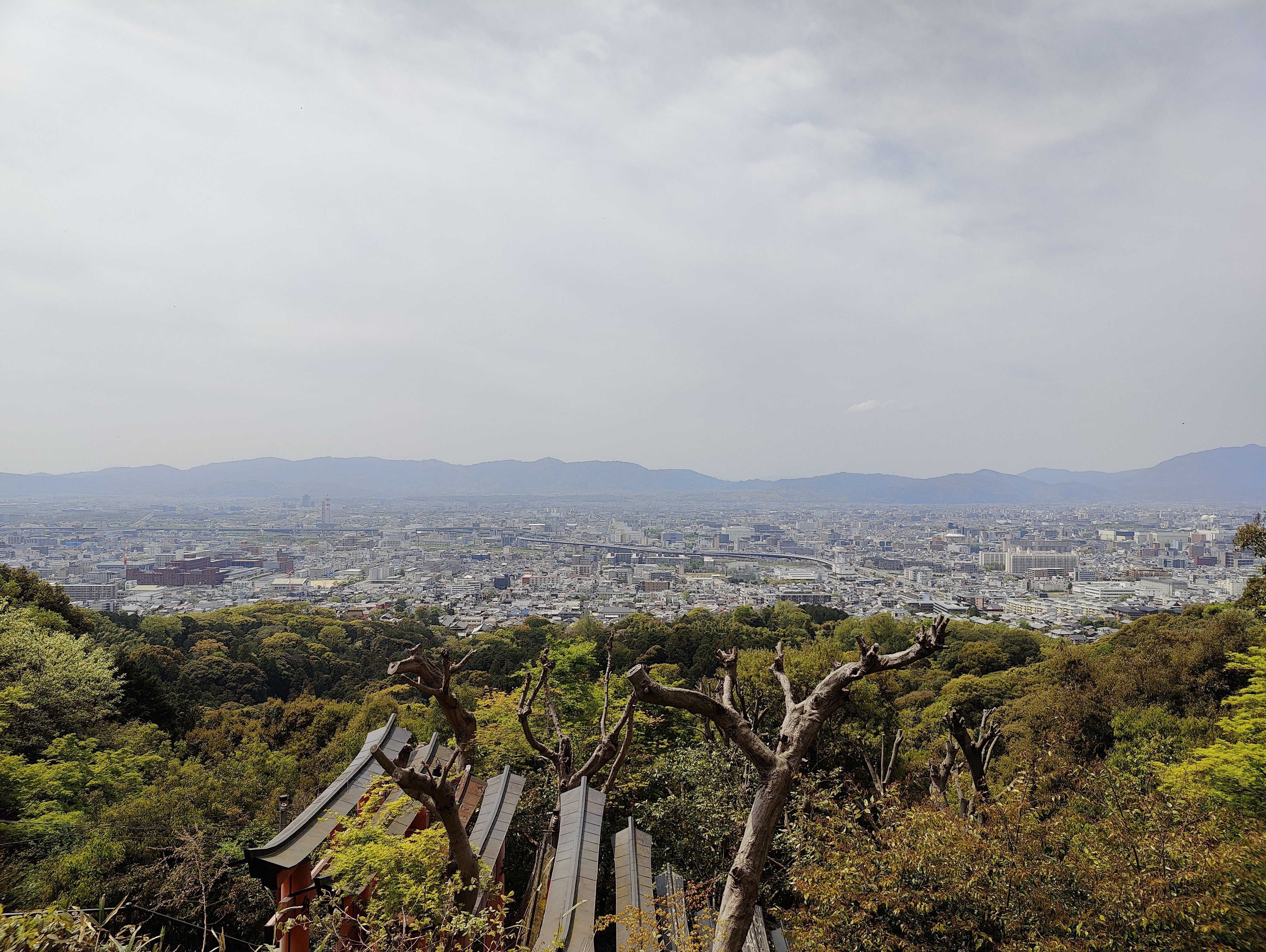 Смотровая площадка у Mt Inari Crossroads Observatori