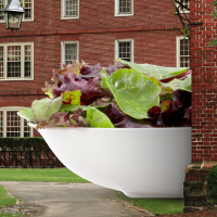 Обложка статьи