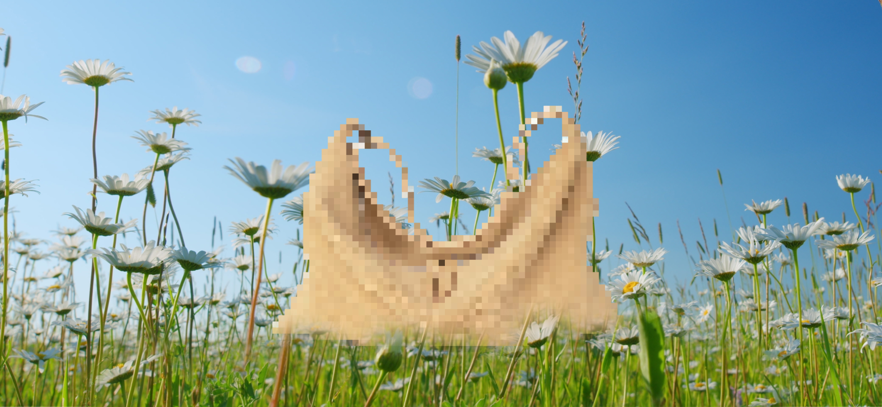 11 новых сумок августа