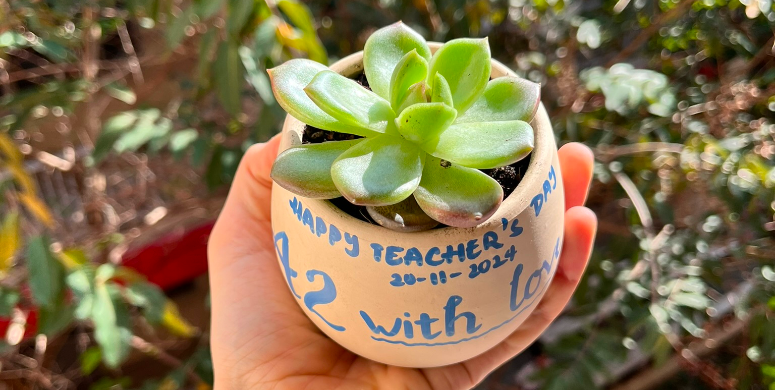 Как я праздновала День учителя во Вьетнаме