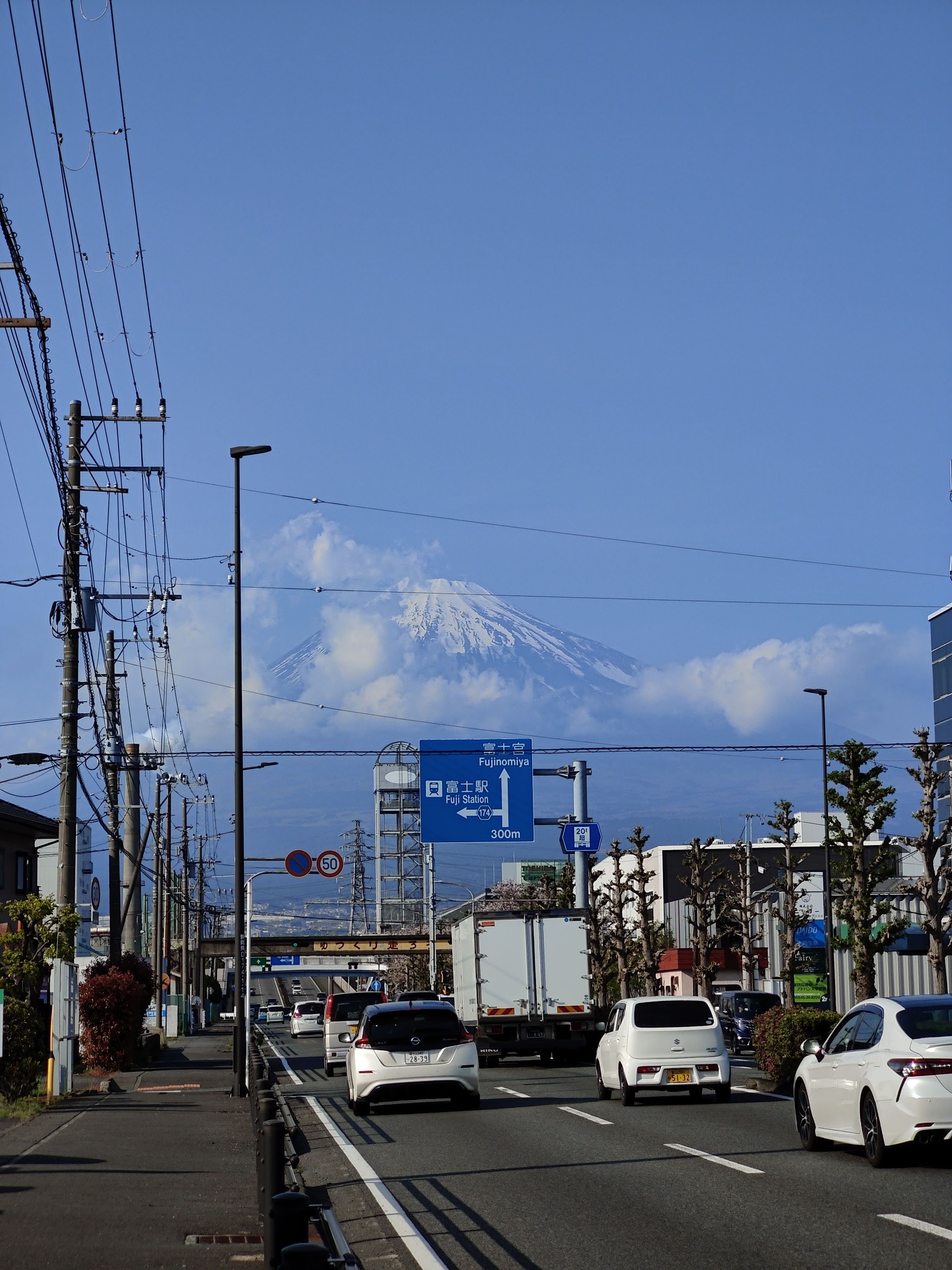 Любовались сакурой и Фудзиямой и кормили оленей в парке: как мы съездили в Японию