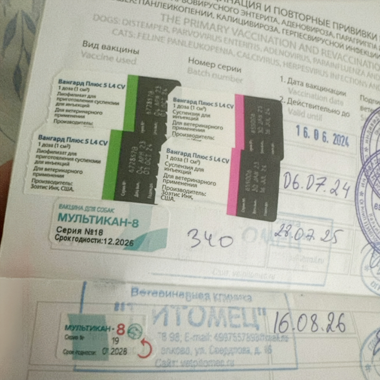В 2025 году привили собак «Мультиканом» 18-й серии, а в 2026 — 19-й