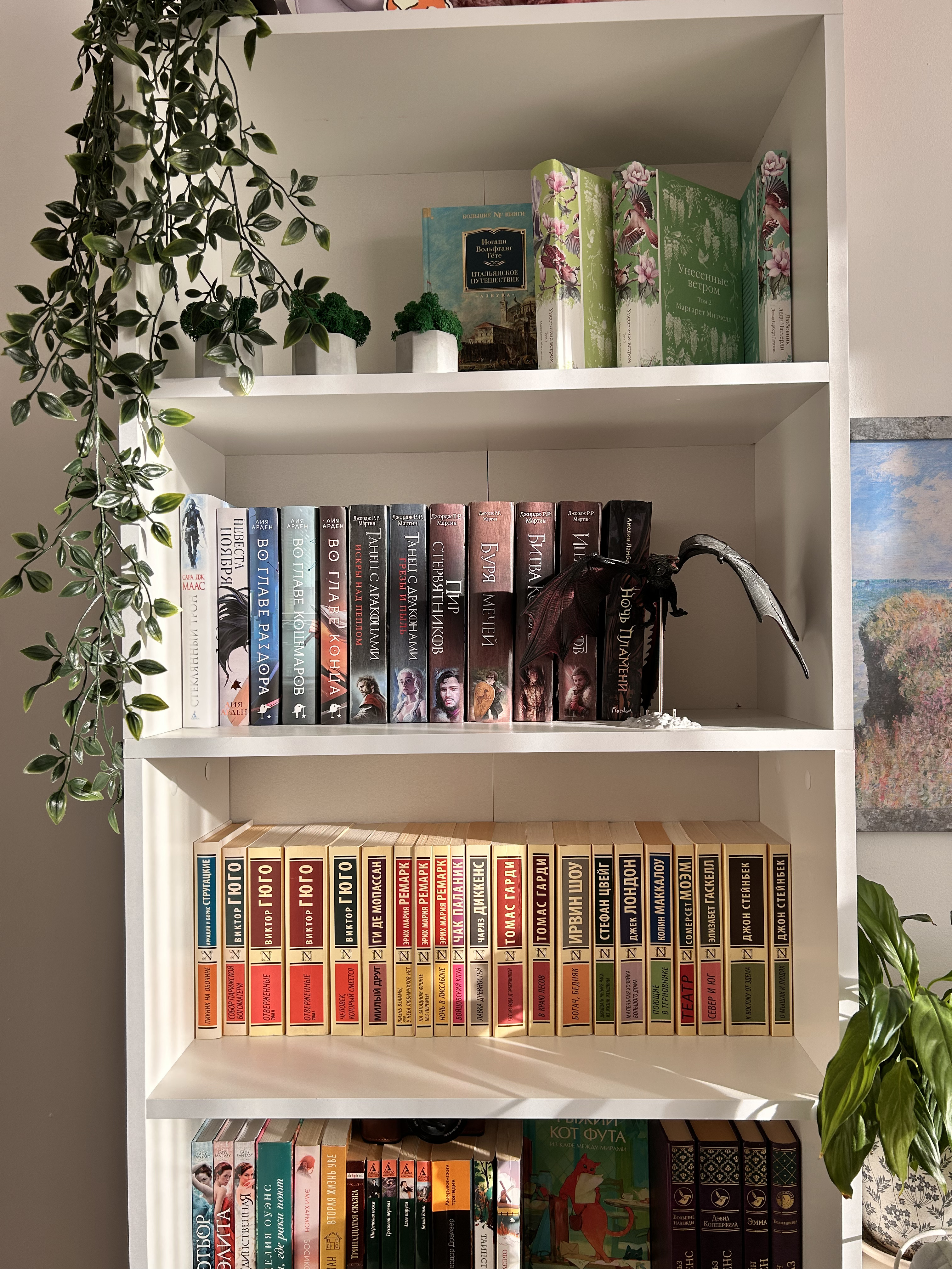 Люблю коллекционировать бумажные книги, их безупречный аромат и шелест страниц.