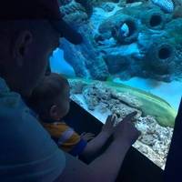 Василий Алексеевич 