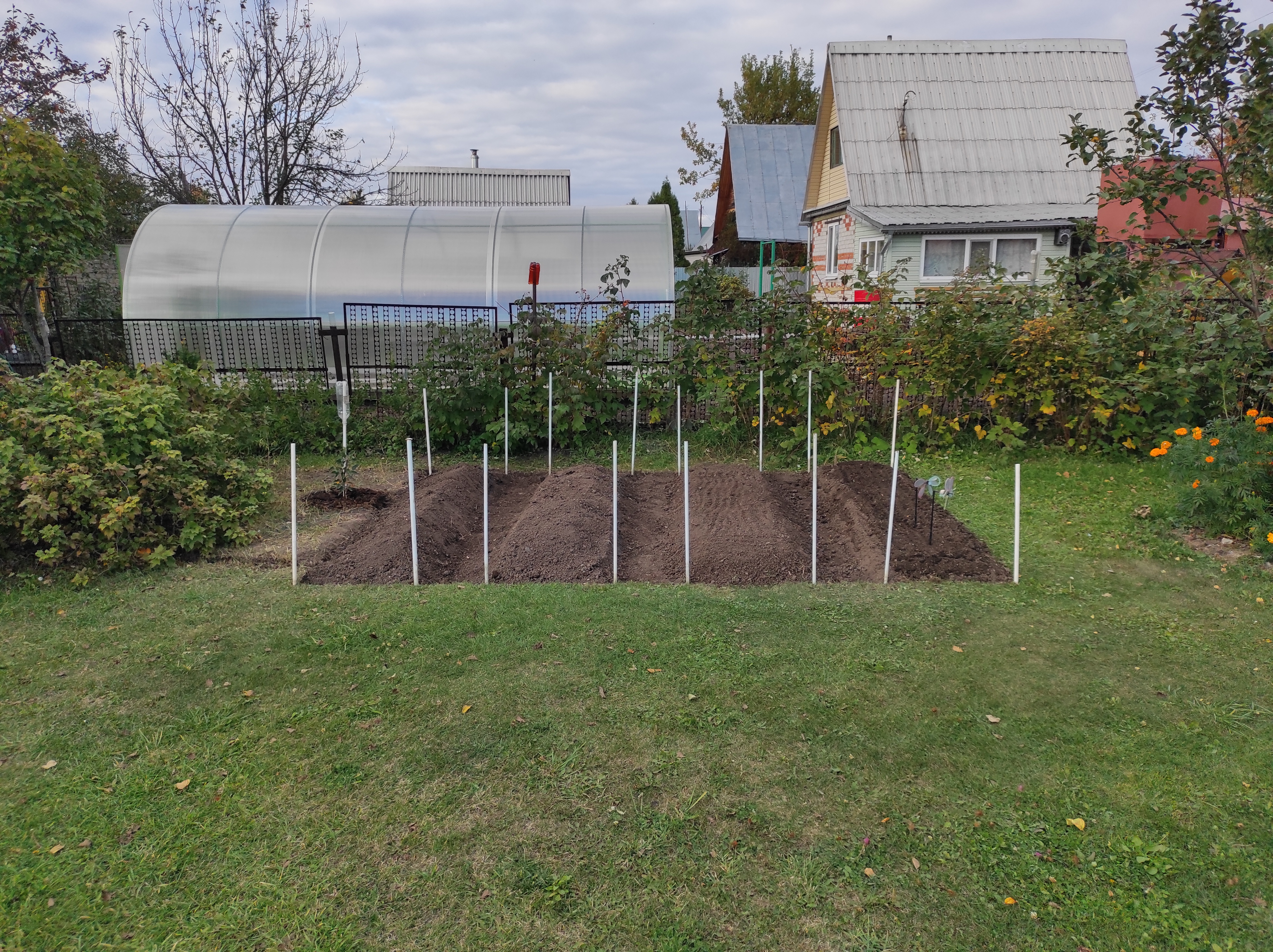 Деление на грядки