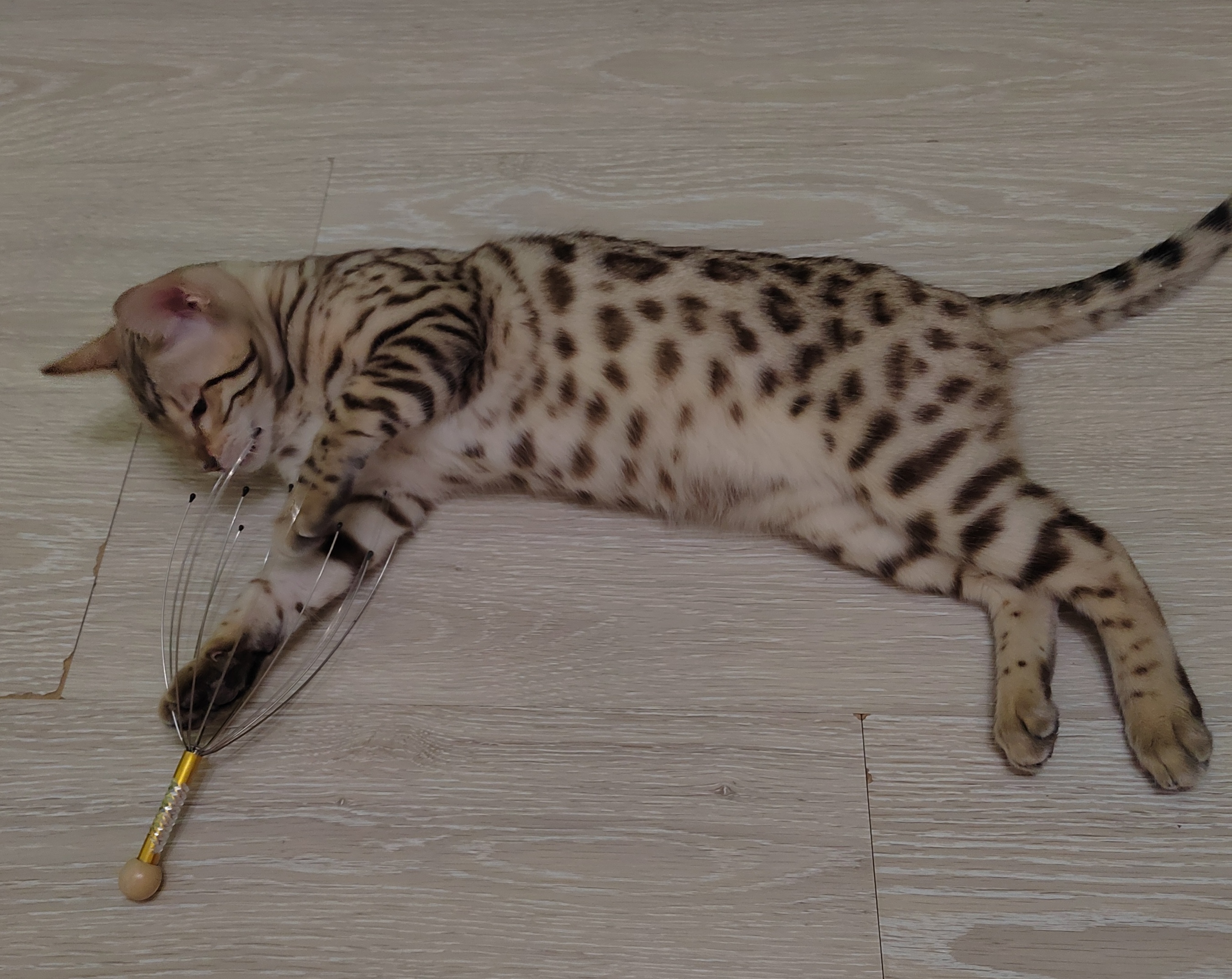 Я с «Мурашкою» дружу!