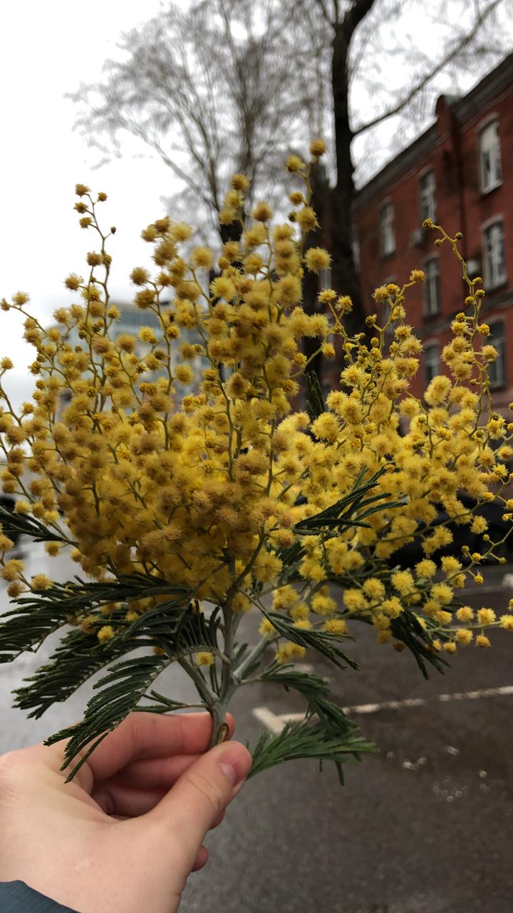 И еще немного красоты