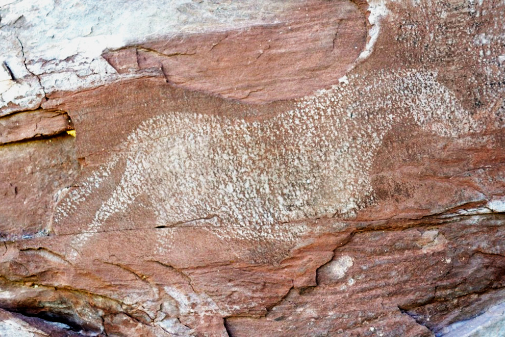 Петроглиф «Белая лошадь», которому более 18 тысяч лет
