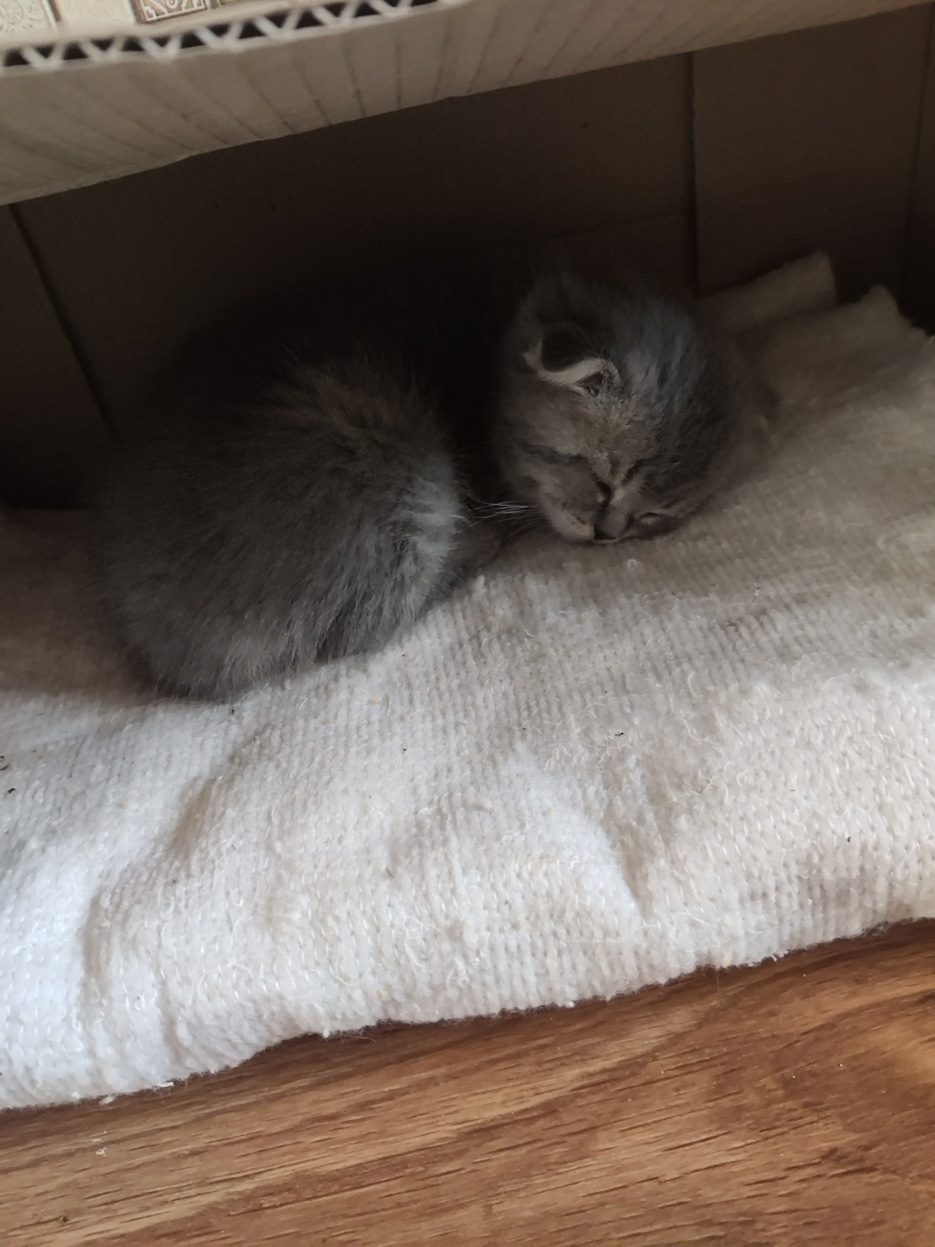 Только заселилась