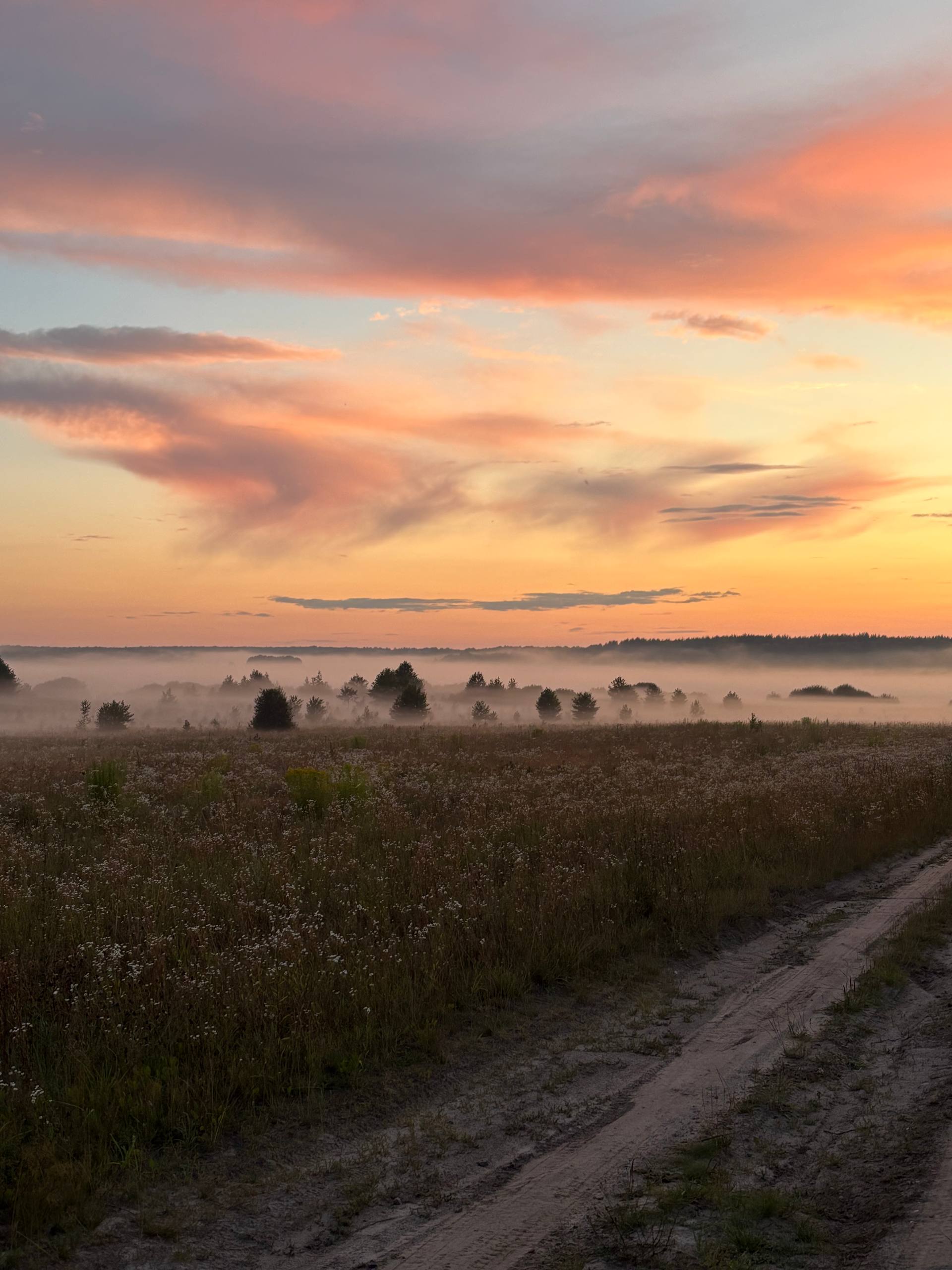 Фотографии года