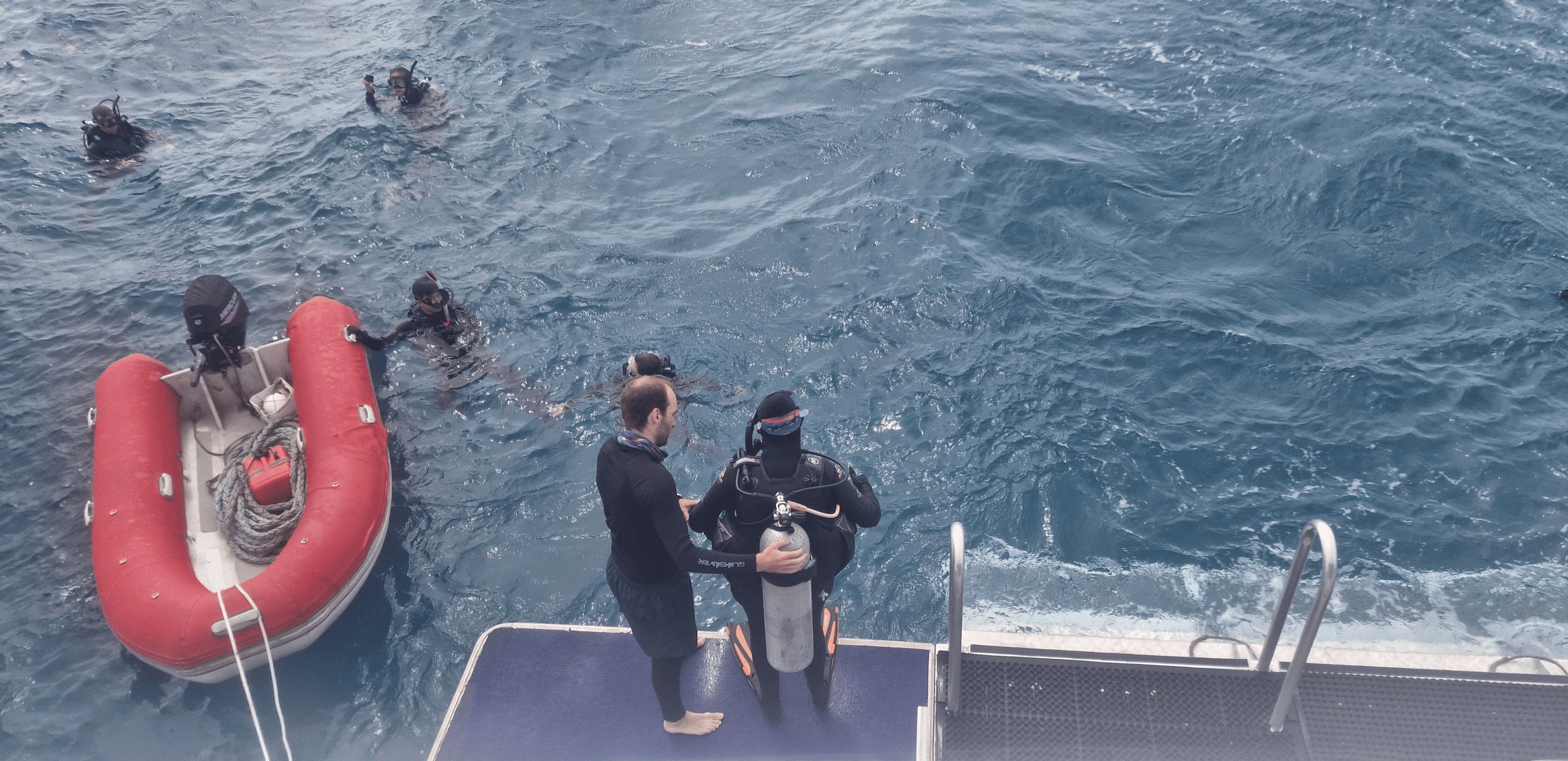 Как я плавала на Большом Барьерном рифе и почему хочу это повторить