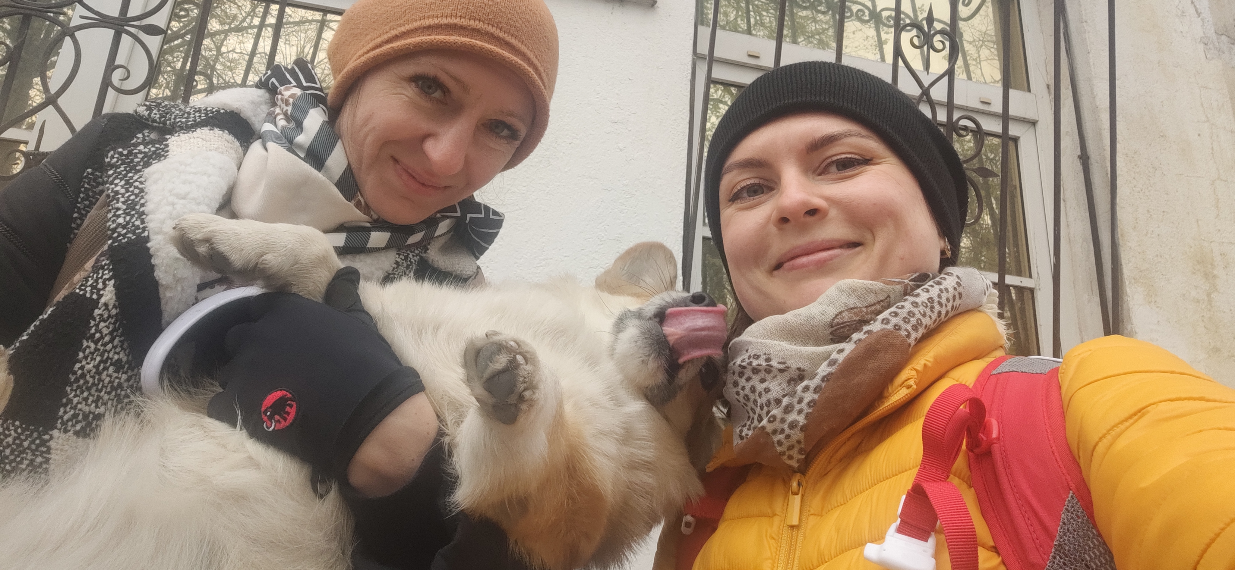 Как мы с подругой и корги провели 2 дня в Ярославле