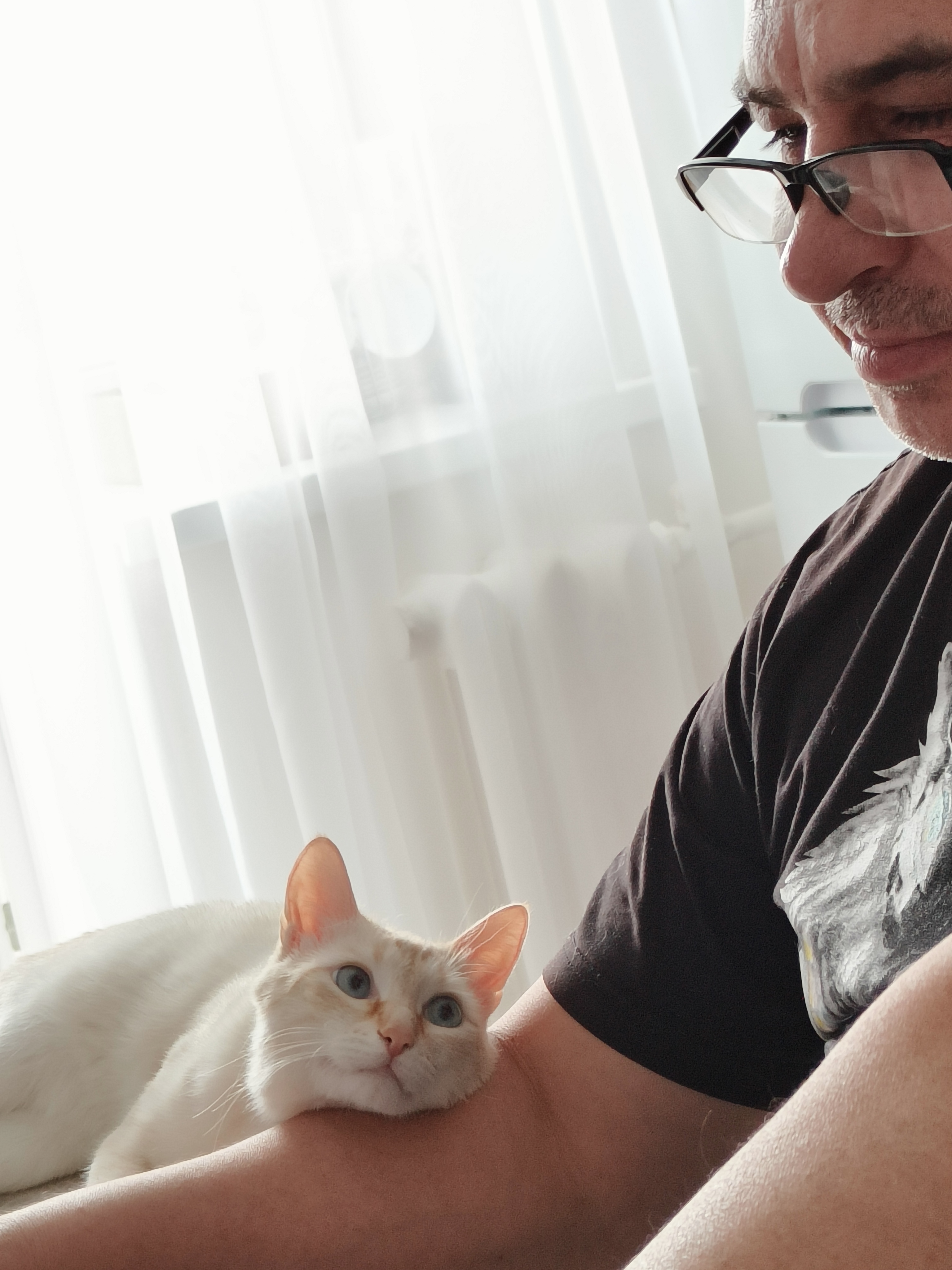 Очень компанейский парень, ему всегда надо быть рядом с хозяином, чтобы ты ни делал. На фото играет в «Танки»