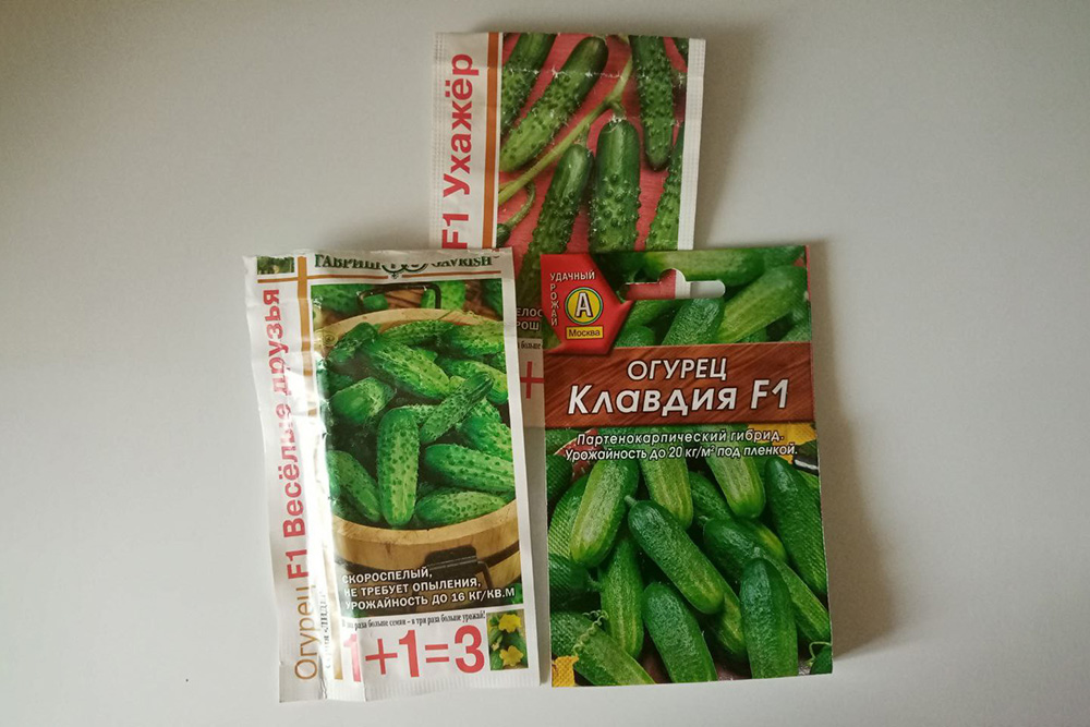 Устойчивые к болезням семена огурцов, которые росли на моем огороде в прошлом году. Например, сорт «Клавдия F1» стоит 18 ₽