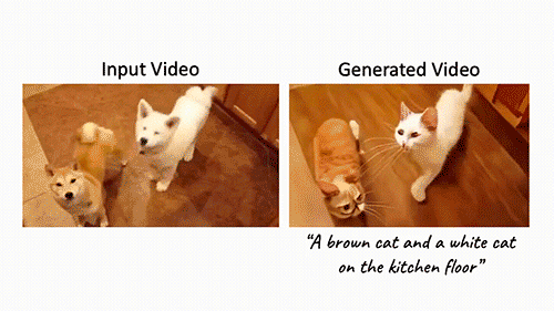 Результат генерации в Dreamix. Собак поменяли на котов. Источник: dreamix-video-editing