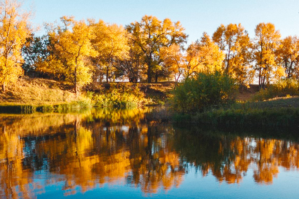 Осень на реке Ахтубе. Фото: Владимир Поволоцкий