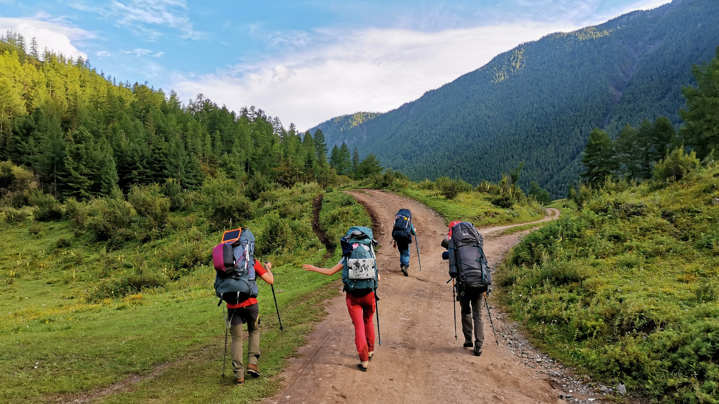 Походы по Алтаю: как организовать пеший тур по горам Алтая и сколько это  стоит