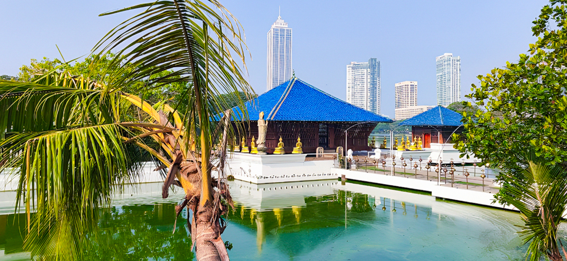 «Не жалеем потра­ченных денег»: как мы посмотрели Шри-Ланку за 18 дней и 310 тысяч рублей